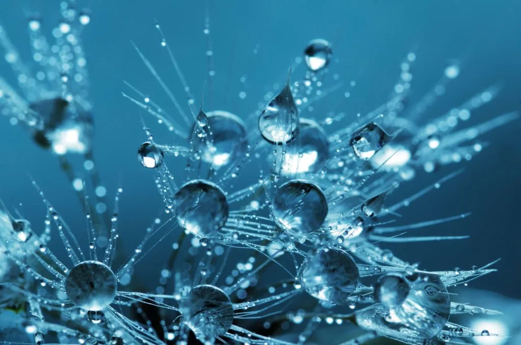 Powerful Crystal Cleansing: The Top 5 Techniques for Purifying Your Crystals 3 pexels anthony 132477 1
