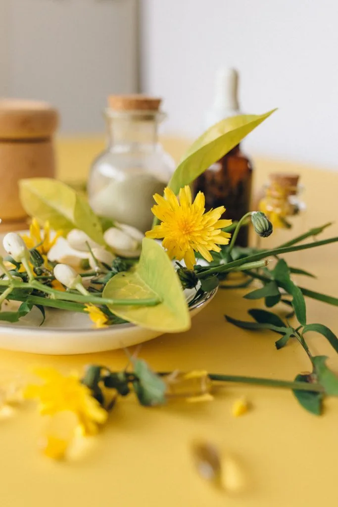 The 6 Step Process of Making Essential Oils 3 pexels nataliya vaitkevich 7526011