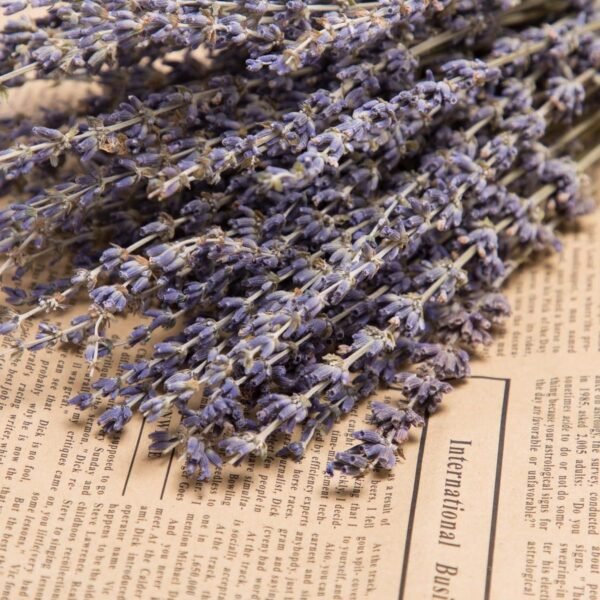 Dried Lavender Bundles (2 pc)